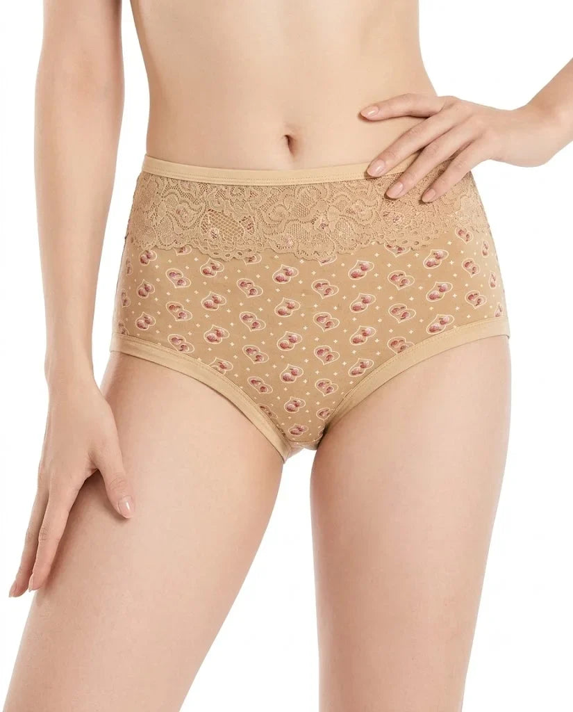 Nude Heart Lace Waist High-Rise Panty